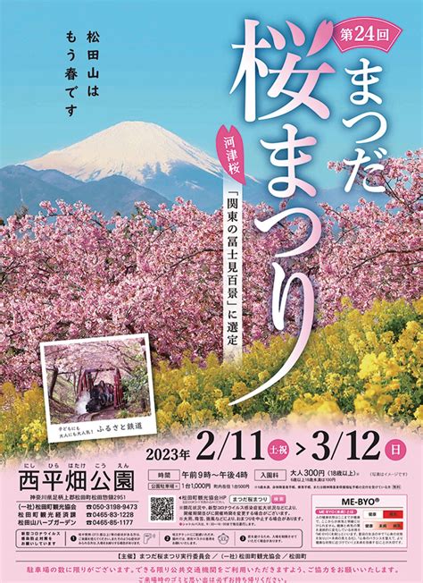 松田山にカラフルな春 3月12日まで桜まつり 足柄 タウンニュース