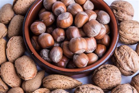 Eating More Nuts May Improve Exploitative Function Programming Insider