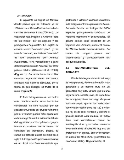 PROPIEDADES DEL AGUACATE Persea Americana PDF