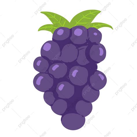 Grapes Fruit Clipart Png Images Grape Fruit Grape Fruit Fruit Grape