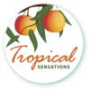 Subtropical Fruit Trees For Sale Online PlantNet Australia