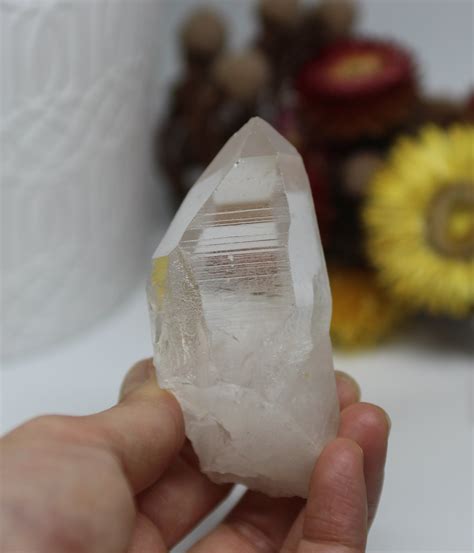 Lemurian Seed Quartz Shop Natural Lemurian Seed Crystal From Crystal