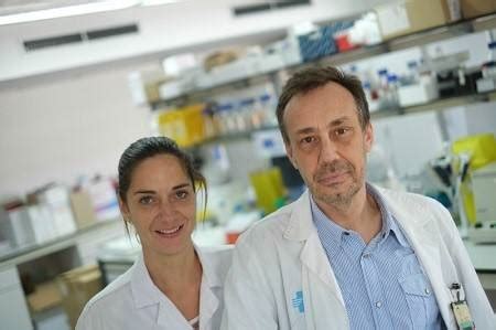 Microbiota intestinal como diana terapéutica para combatir la obesidad