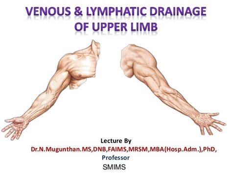 Venous Andlymphatic Drainage Of Upper Limb Drnmugunthan