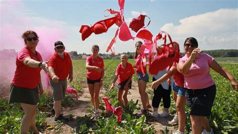 Octobre Rose Course Marche Cancer Du Sein Cristal Union