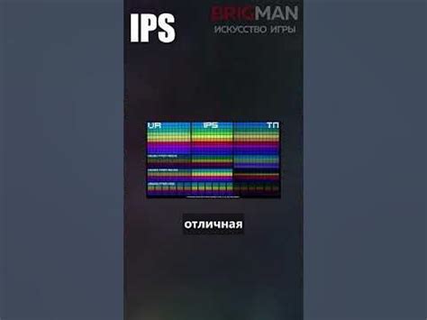 Какая матрица лучшая для игрового монитора? TN, VA, IPS или OLED? #пк # ...