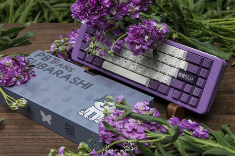 PBTfans Subarashi Keycaps - Vala Supply