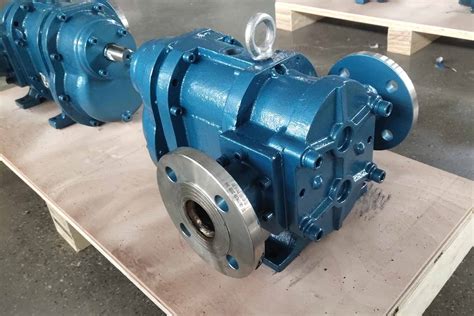 Rotary Lobe Pumps Functions Benefits Applications