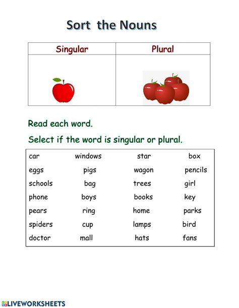 Singular And Plural Noun Interactive Worksheet Ejercicios Interactivos Cuadernos Interactivos