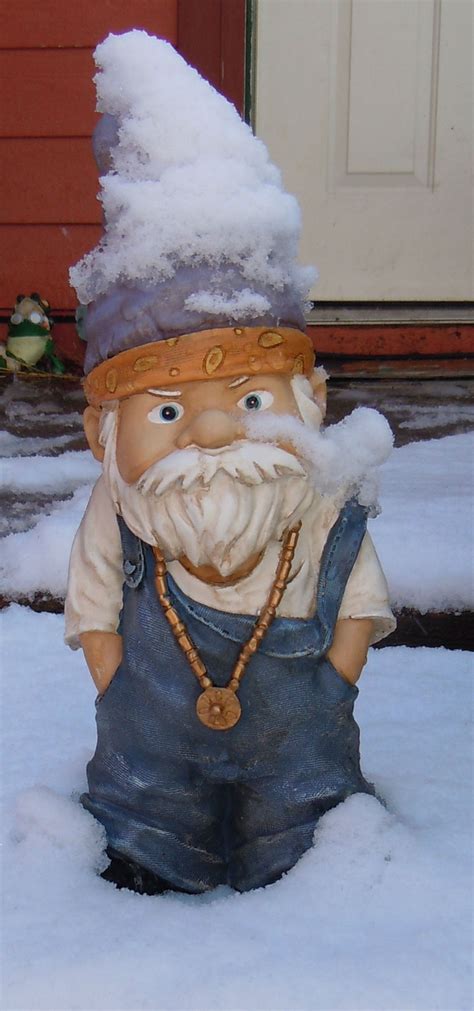 163 best Gnome Memes: Funny Gnomes images on Pinterest