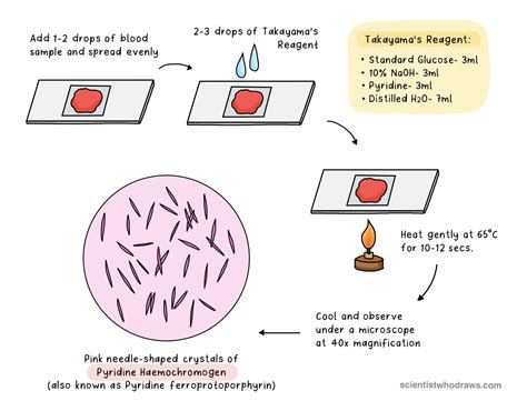 Confirmatory Blood Test Definition at Kathy Foley blog