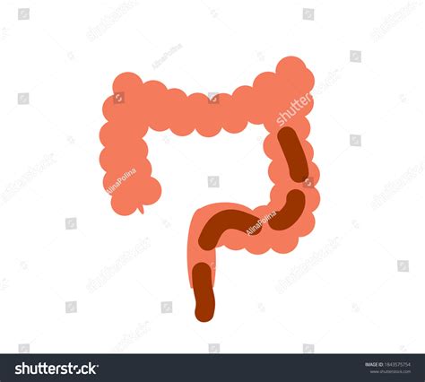 Intestines On A White Background Cartoon Royalty Free Stock Vector