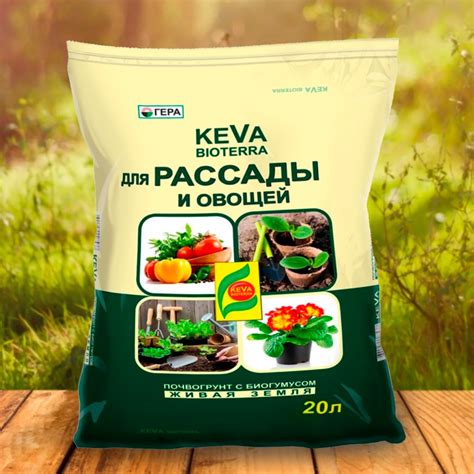 Купить БиоГрунт КЕВА Биотерра для рассады и овощей 20л недорого по цене ...