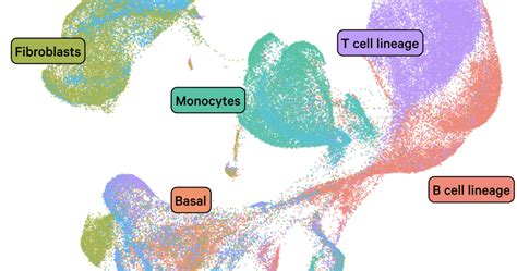 Chromium Single Cell Analysis Software 10x Genomics