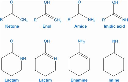 Amine Vs Amide Laney Has Davis