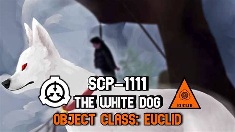 Scp 1111 The White Dog The Hanged Man And The Loyal Dog Youtube