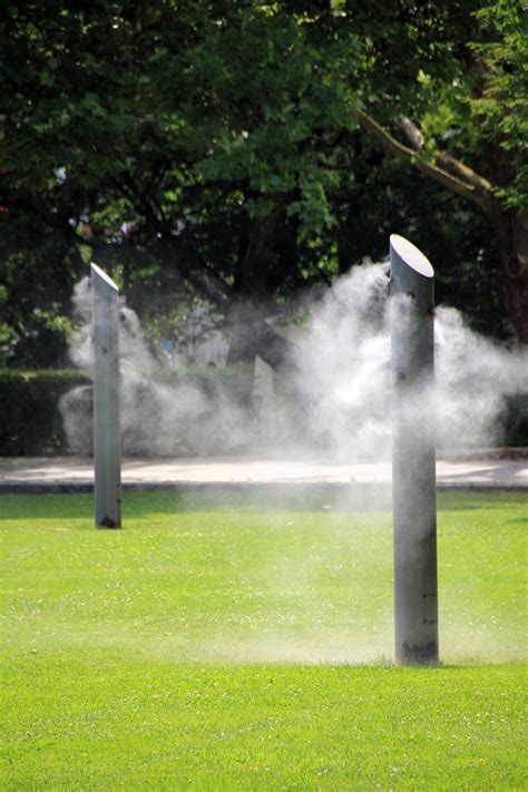 Free Images Tree Grass Fog Lawn Sunlight Steam Green Park