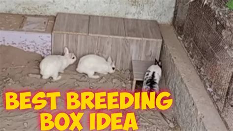 rabbits nesting box.rabbit nesting box plans - YouTube