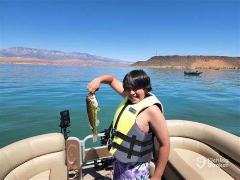 Fishing in UTAH: The Complete Guide