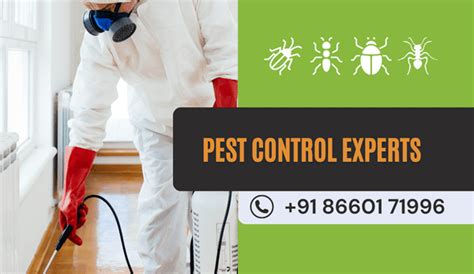 Best Pest Control In Bangalore We Care Pest Solutions