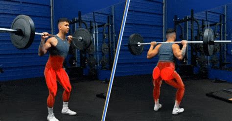 The Barbell Squat: How To Do It PROPERLY For Growth (4 Easy Steps)