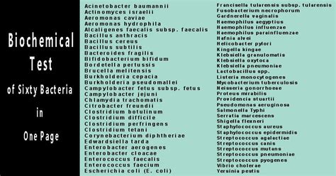 Enterobacteriaceae Biochemical Test Chart