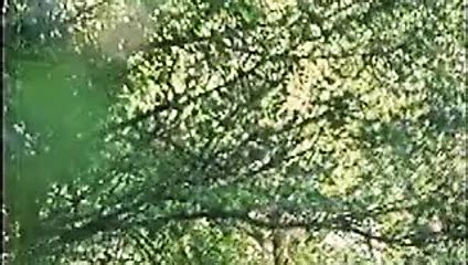 Natacha Baronne Vicieuse Free European Porn E Xhamster