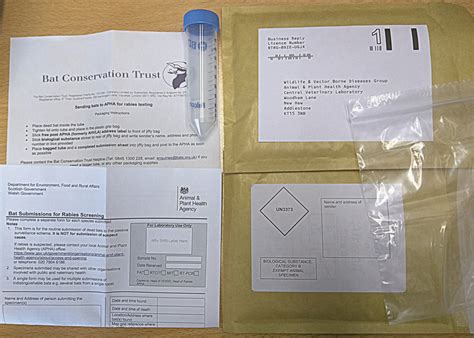 Bats and rabies in the UK – How different surveillance schemes