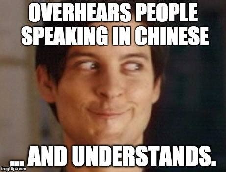 15 Funny Memes About Learning Mandarin Chinese