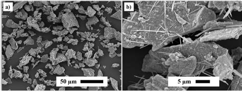 SEM micrographs of 45S5 Bioglass powder (a) and detail view (b ...