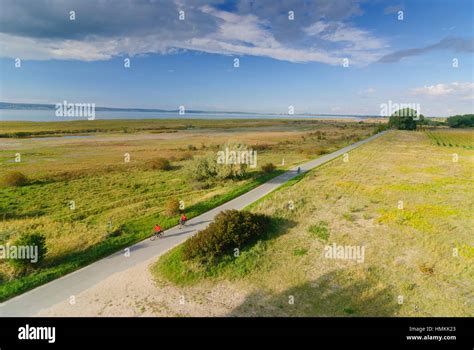 Illmitz Vistas Reet Parque Nacional Neusiedler See Seewinkel Neusiedler See Lago Neusiedl