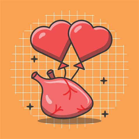 Vector illustration of an organ with a heart shaped balloon