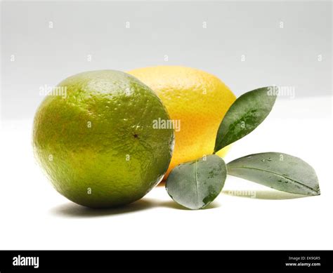 Lime And Lemon Stock Photo Alamy