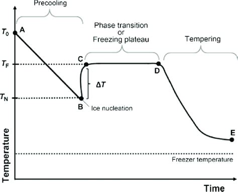 Typical freezing curve. T 0 , Initial temperature; T F , Freezing ...