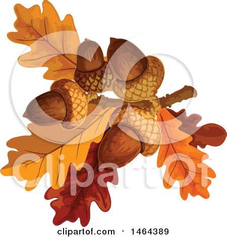 Clipart Of Acorns And Autumn Oak Leaves Royalty Free Vector