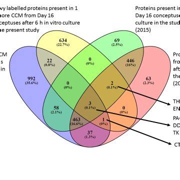 Venn Diagram Of The Proteins Present In Extracellular Vesicles Evs