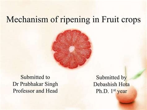 Climacteric and Non-Climacteric Fruits