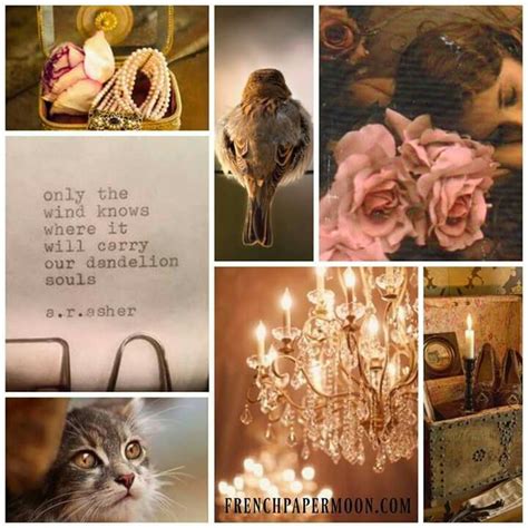 920 best Animal - Moodboards images on Pinterest | Collagen, Collage and Collages