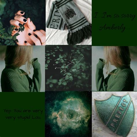 Slytherin Twins Girl Aesthetic Slytherin Aesthetic Beautiful Slytherin