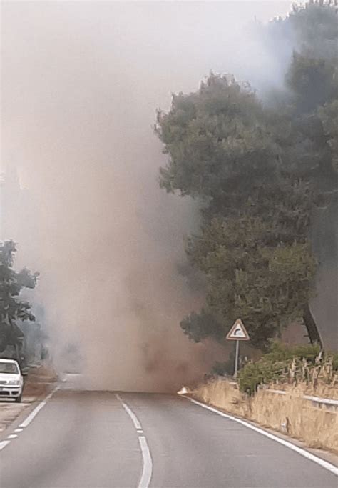 Prevenzione Incendi Pineta Supersano Le Precisazioni Di Italia Nostra