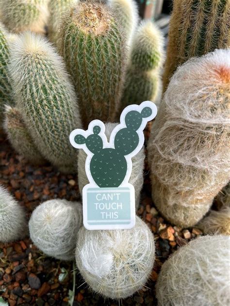 A Cactus With A Sticker That Says Cant Touch This