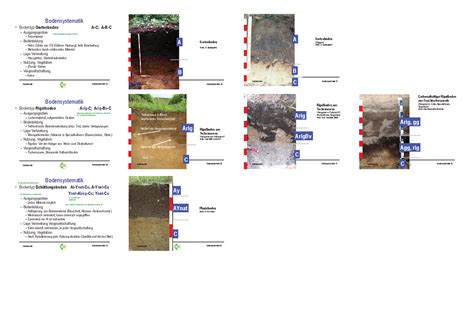 Gartenboden Bodenaufbau Horizonte Bodenkunde Bodensystematik