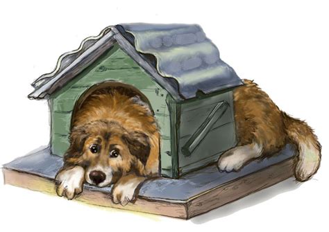 Картинки для собак будки: Красивые собачьи будки (78 фото) - фото