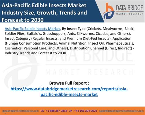 Ppt Asia Pacific Edible Insects Market Powerpoint Presentation Free Download Id12413169