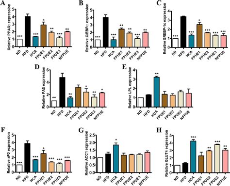 In Vivo Effects Of Fpue And Nfpue On Adipogenic And Lipogenic Genes