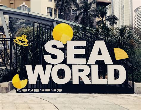 What You Should Know About Shenzhen Sea World ? – murali.today