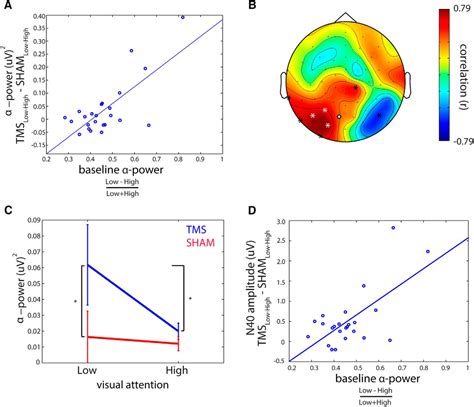 Attention Modulates Tms Locked Alpha Oscillations In The Visual Cortex