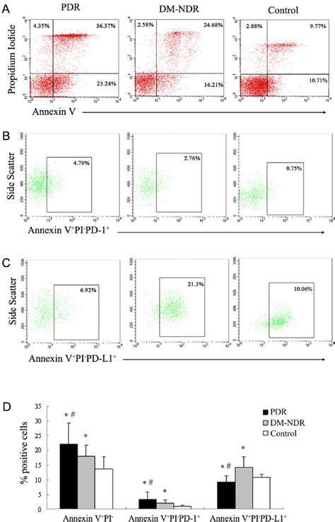 Apoptosis And The Expressions Of Pd 1 And Pd L1 On Activation Induced