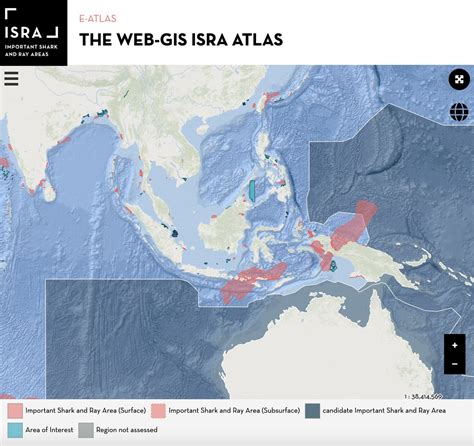 Mmfs Indonesian Research Shapes New Iucn Important Shark And Ray Areas