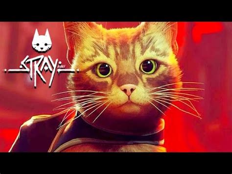 Kleine KATZE in der großen STADT Stray Gameplay Deutsch 04 YouTube